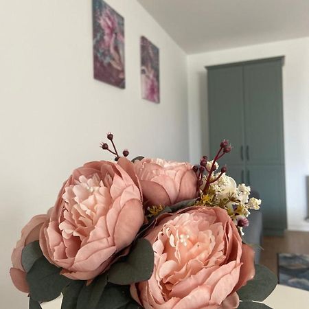 Focus Apartament Floreşti エクステリア 写真