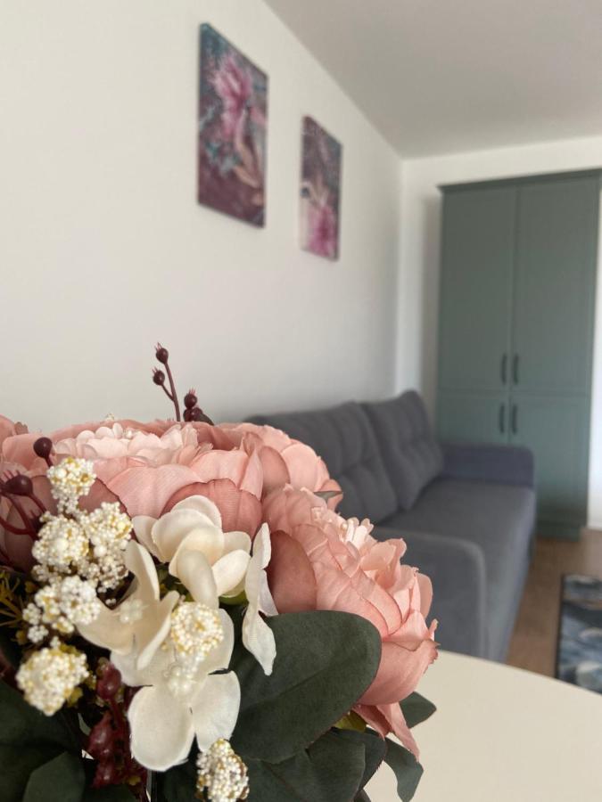 Focus Apartament Floreşti エクステリア 写真