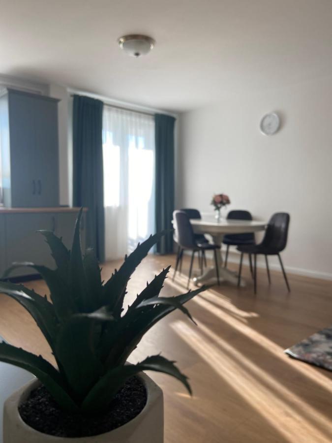 Focus Apartament Floreşti エクステリア 写真